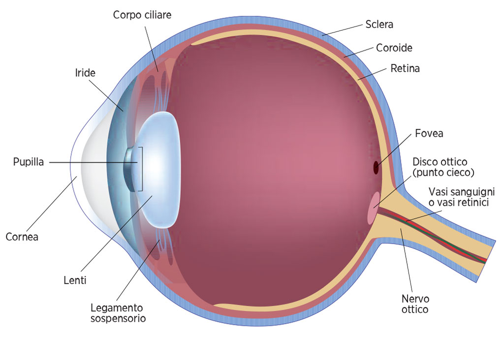 reabilitare miopie chirurgie oculară)